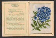 Kensitas Wix cigarettes Medium