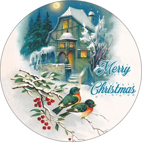 Christmas robin house cake - christmas,
