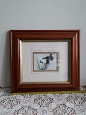 Set of 2 'Manuscript Limited England' framed prints Series 976 Ducks