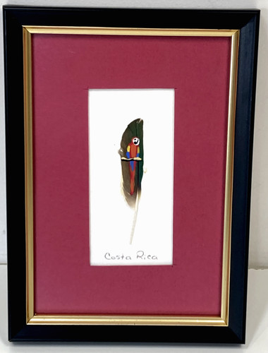Costa rica feather hand - rica,