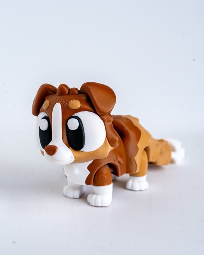 Cute eyes australian shepherd - cute,