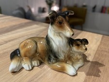 Rough Collie with Puppy
