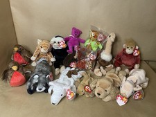 Big Bundle Of 15 TY Beanie