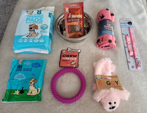 Puppy starter kit - puppy, kit,