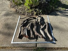 Natural Manzanita Driftwood