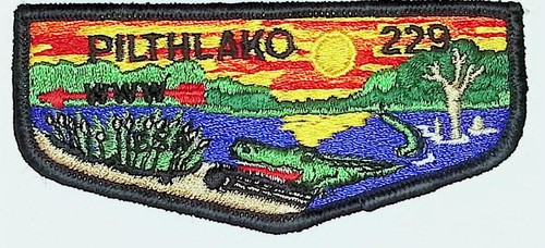Pilthlako lodge 229 - 229, okefenokee