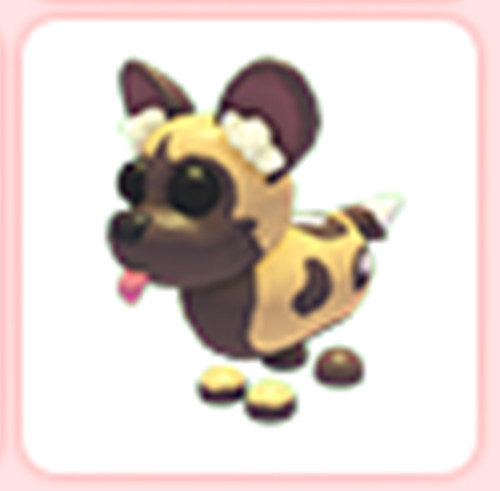 Adopt your pet african - adopt, !