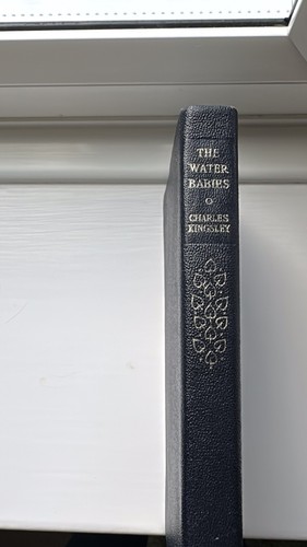 The water babies leather - the,