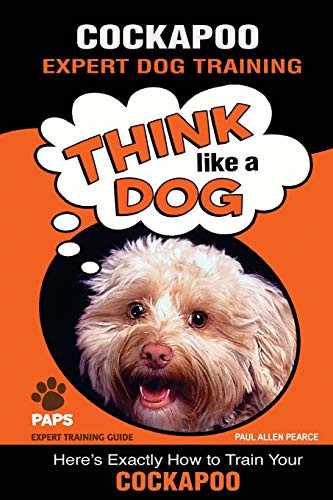 Cockapoo expert dog training - expert,