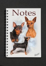 Miniature Pinscher Dog