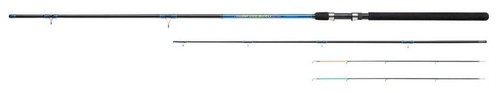 Shakespeare firebird 10ft - shakespeare,