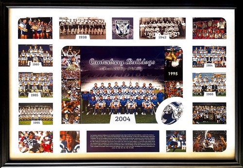 New canterbury bulldogs - new,