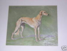 ANTIQUE SALUKI DOG OIL PAINTING SIGNED 1937 NAMED DOG