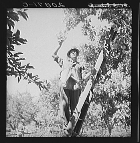 Yakima valley washington 1939 - valley,