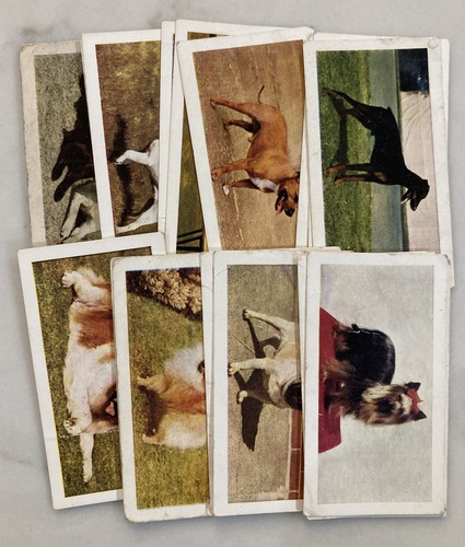 Dogs hornimans tea cards - tea,