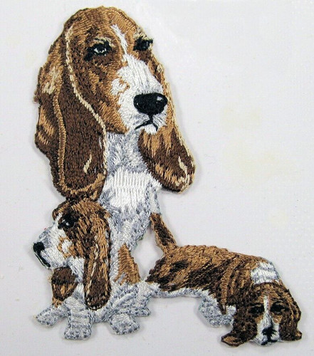 Basset hound dog heat - hound, applied
