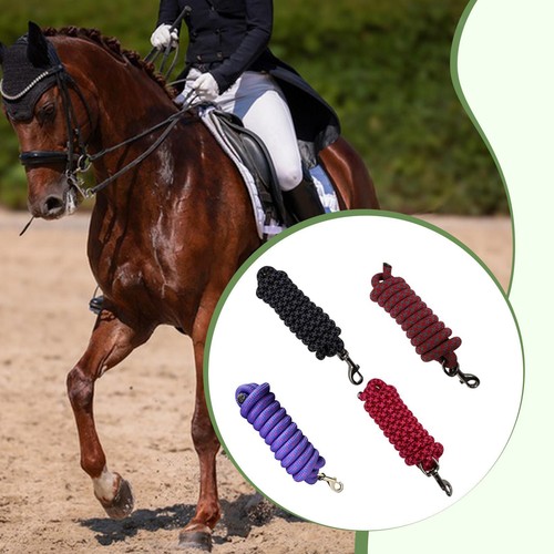 Equestrian equipment horse - equipment,