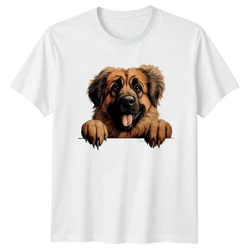 Cute dog peekaboo pet german - dog,