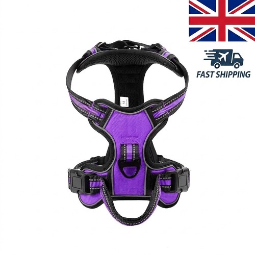 Dog harness pull - dog,