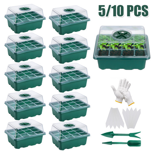 10pc holes seed - 5/10pc, starter