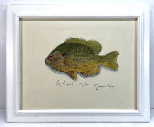 Hand colored fish - hand,