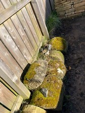 weathered dry stone walling stone northumberland reclaimed 5 varying sizes 