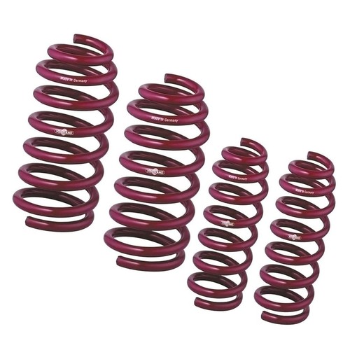 Vogtland sport lowering