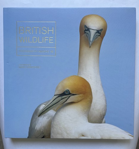 British wildlife photography - british,