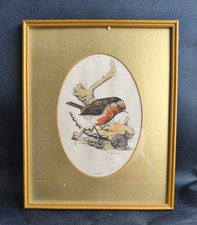 Vintage Robin Bird Print John Morland Hand Colored Framed Wall Art Ornithology