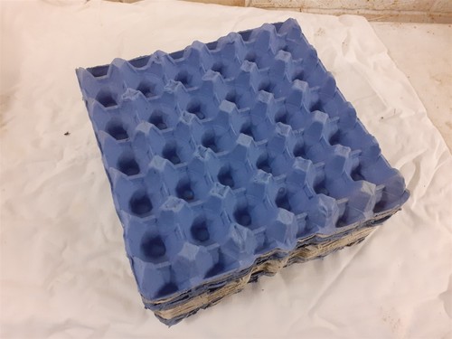 Cardboard egg trays - egg,