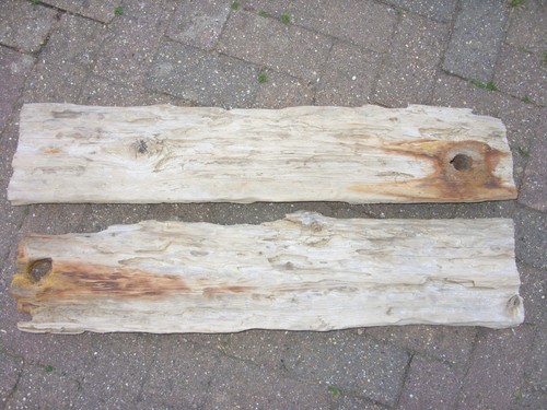 Large driftwood - large,