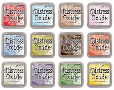 Ranger Tim Holtz Bundle of 12
