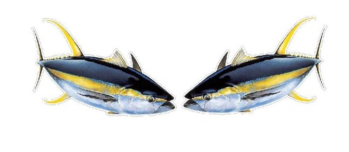 Fishing angling stickers - angling,