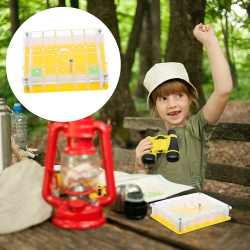 Ant ecological box observation - ant,