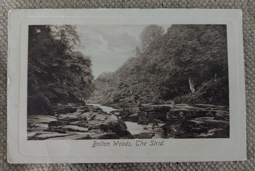 Bolton woods the strid - bolton,
