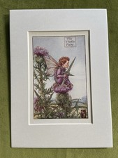 Thistle flower fairy - ‘thistle’,