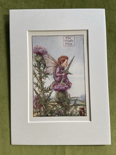Thistle flower fairy - ‘thistle’,