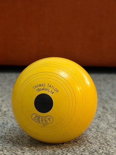 Thomas taylor yellow crown - thomas,