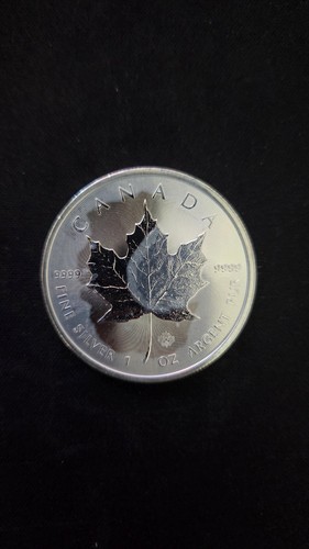 2014 canadian silver maple - 2014,