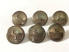 Antique Vintage hunting