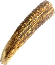 Split Antler Dog Chews Small x