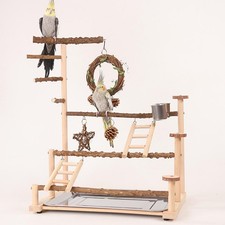 Parrot Playstand Bird Play Gym