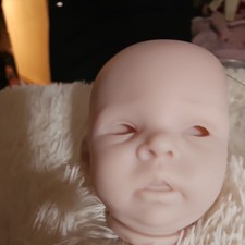 Payten reborn blank - payten,