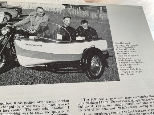 Unusual canterbury belle - unusual,