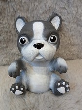 Grey And White French Bull Dog