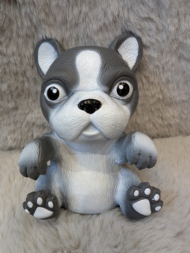 Grey and white - french, dog