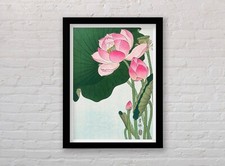 Lotus Flower by Ohara Koson