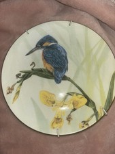 “the Painted Seasons”