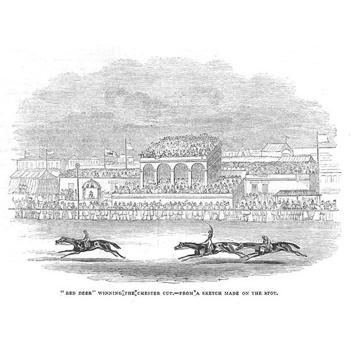 Horse racing red - red, deer