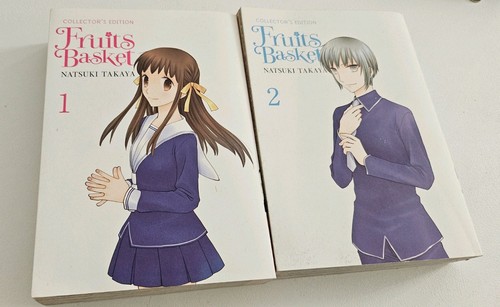 Fruits basket collector - fruits,